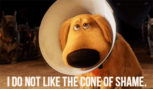 coneofShame.gif