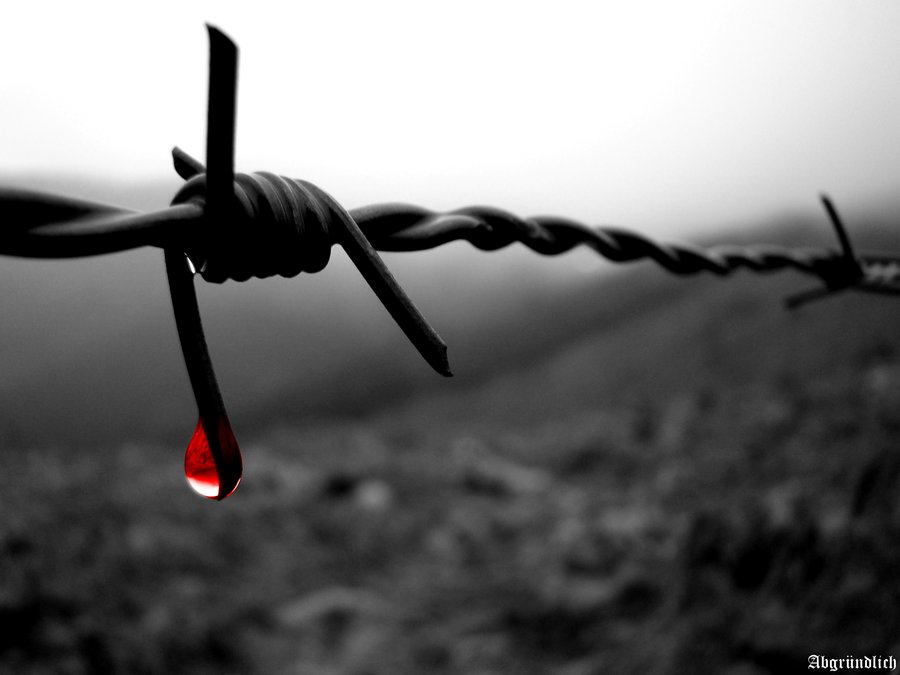 A WORLD WITHOUT LINES – A reflection for&nbsp;Lent